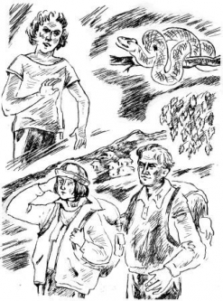 Рисунок В.Коровиной